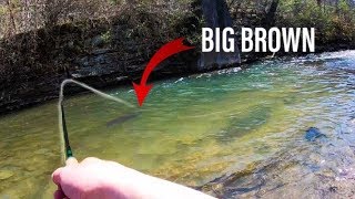 Fly Fishing ULTRA Clear Water For Trout