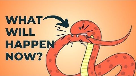 What happens if a snake bites itself? | Quick Earth | Facts |