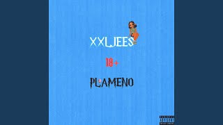 18+ (feat. Plameno) - XXLJEES