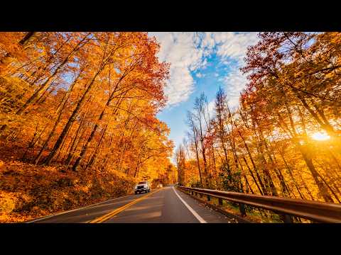 Driving Through New England’s Fall Colors in 4K - Massachusetts Road Trip | Ep. 1