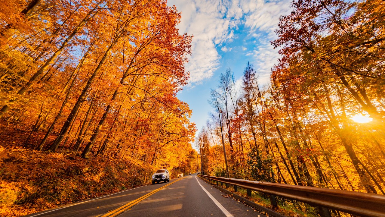 Driving Through New England's Fall Colors in 4K - Massachusetts