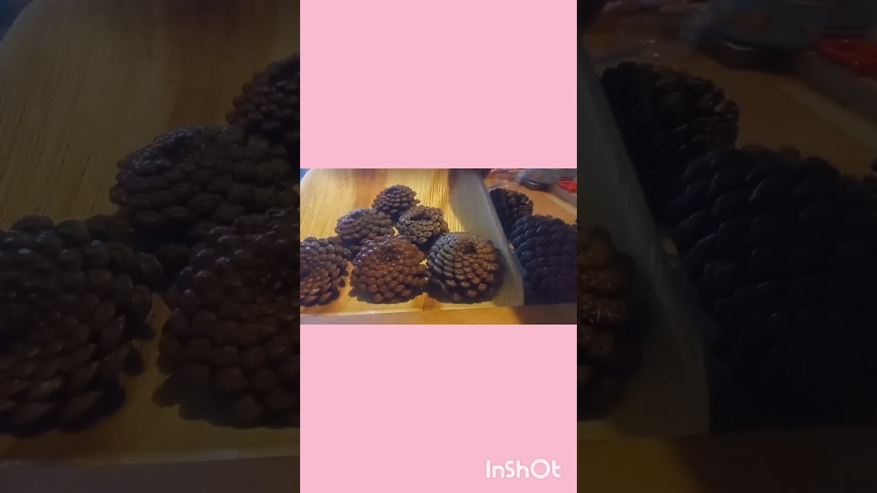 Цветы сосновых шишек. Пятница. Наслаждайтесь 🙂.