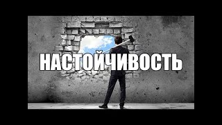 Настойчивость (Мужчины будущего)