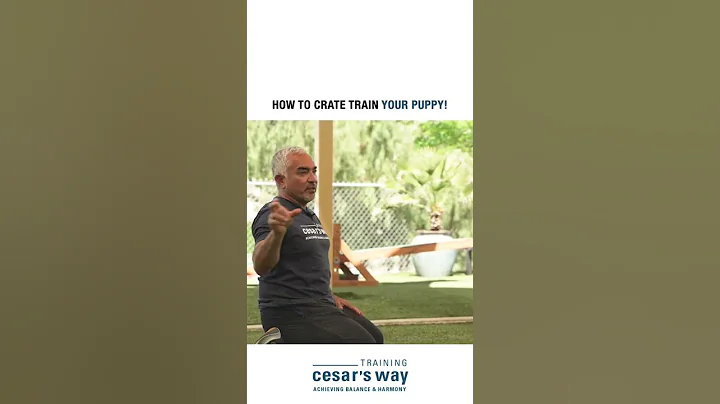 How To Crate Train Your Puppy and prevent separation anxiety! 🐶 #shorts #dog #dogtraining