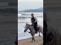 Horseback riding by the seaside#If you like it just follow me#Horseback riding