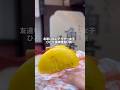 友達いないアラサー女子ひとり長崎爆食い旅#youtubeshorts