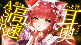 【ASMR/耳かき】竹耳かきで耳奥をひたすらかく【VTuber/耳かきボイス /こりす】