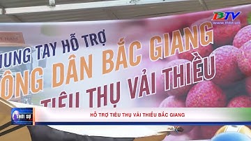 Hỗ trợ tiêu thụ vải thiều Bắc Giang