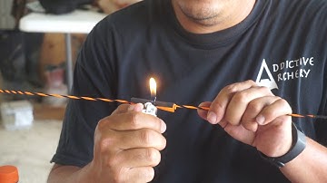 Tying Cat Whiskers on a bow string.