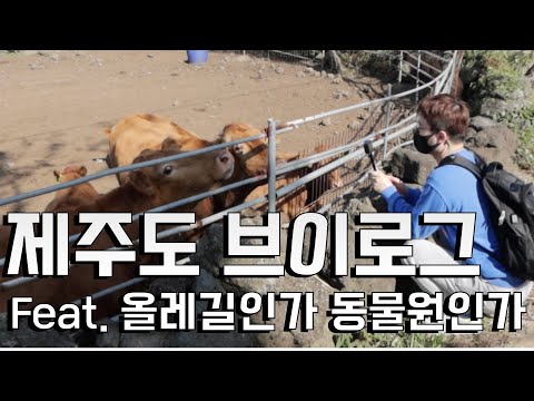특전사숲길