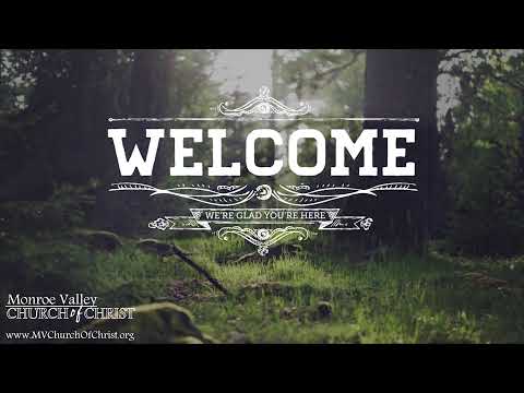 Video preview