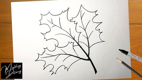 How to Draw Fall Leaves Step by Step