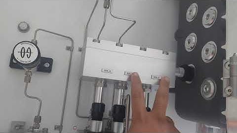 Bagian-bagian H2S Ametek 933