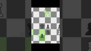 Javokhir Sindarov's Brilliant Game [🎥 1080 Resolution Special] #chess #rook #chessstrategy #games