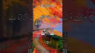 Mashallah Very Beautiful Quran Recitation 🕊️✨Part 05 #shorts #islamic #quran