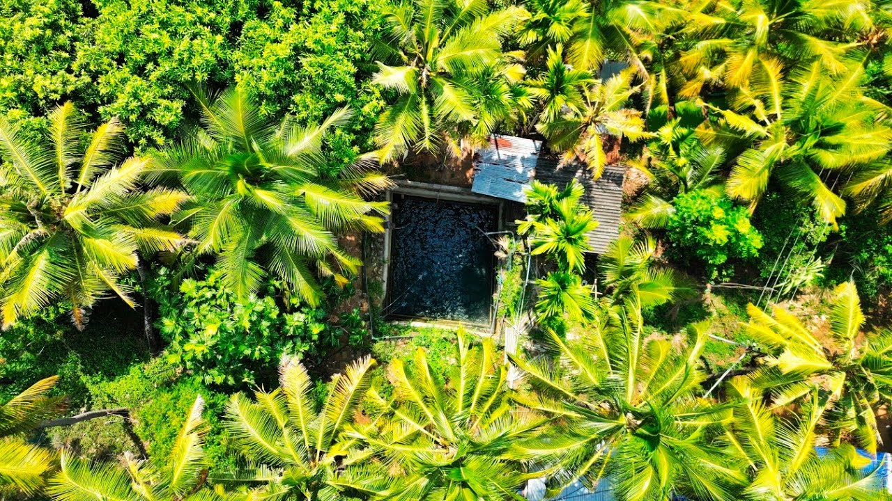 #தென்காசி || பண்பொழி அருகில் 15 ஏக்கர் தோப்பு விற்பனைக்கு கிணறு பம்புசெட் அடங்கியது 📞9755395593 🌴🌴🌳🌳