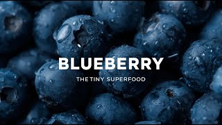Blueberry The Tiny Superfood With A Giant Legacy