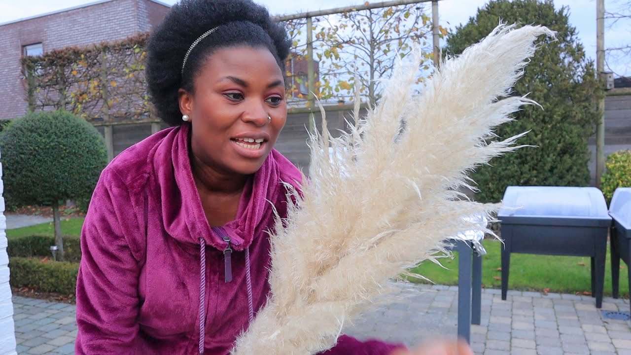 DIY DRIED PAMPAS GRASS | I GOT FOR FREE