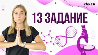 картинка: Задание 13 | PARTA ОГЭ ХИМИЯ 2023