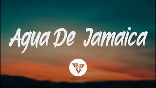 Maluma   Agua de Jamaica