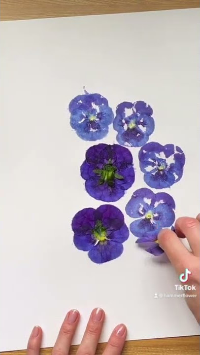 How to Make Beautiful Pressed Flower Art - Welcome To Nana's