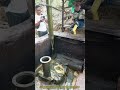 伝統的な採油：井戸から手作業で原油を汲み上げる