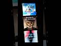 Southern crime thrillers