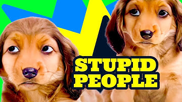 Peter Prins - Funny Guitar Songs - Stupid People