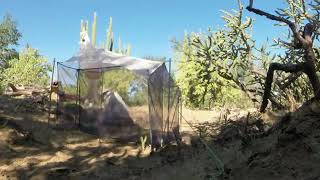 Entomology Team Setting Up Malaise Trap | Los Brasileros Expedition