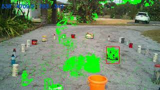 salience motion