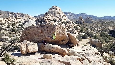 Not So Thin Lizzy** (V2) Flash - Joshua Tree