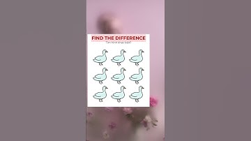 Find the difference #409 #spot #test #fun