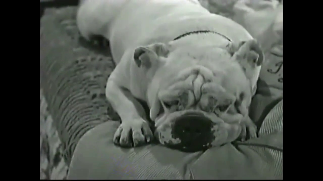 seeds and stems again