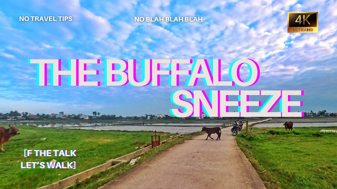 Walking Tour - Buffalo Sneeze - Hoi An, Vietnam - 4K