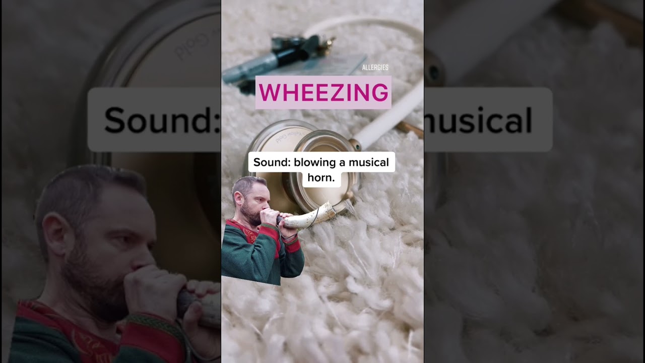 🫁 ЗВУКИ ЛЕГКИХ 🫁 