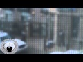 Anonymous vows revenge for masked activist shot dead by confused Canadian police