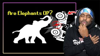ELEPHANTS ARE LOW-KEY TITANS FROM ATTACK ON TITAN!! ... Are Elephants Op? ( TierZoo )