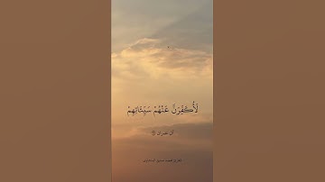 سورة آل عمران / القراى محمد صديق المنشاوي🥹❤️‍🔥💕🫀