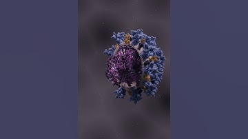 Molecular Nodes in Blender SARS-CoV-2 structure  #blender #animation #blender3d