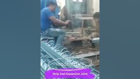 Strip Seal Expansion Joint