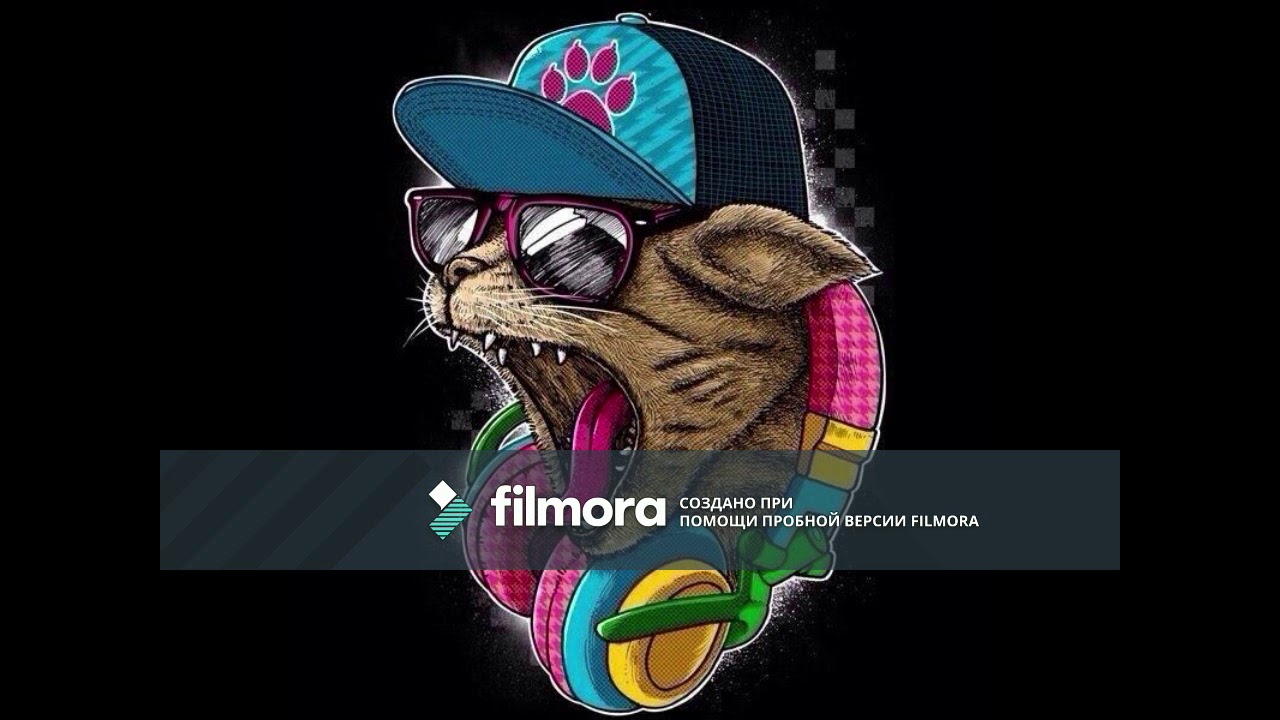 bass test pkd dolbit na vse 100%