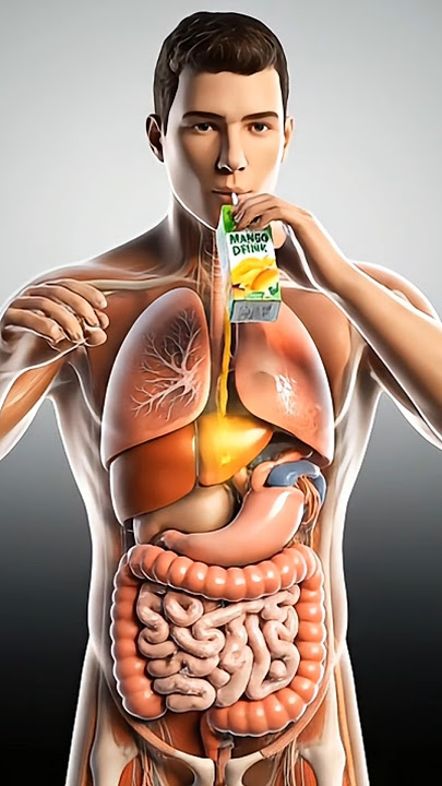 What Happens When You Drink Juice Boxes? #seniorhealth #3danatomy #asmr #mangojuice