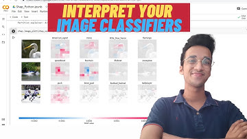 Interpret & Visualize Your Image Classification Models| Python Tutorial|