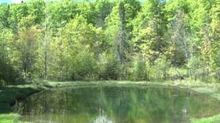 555 Perdue Place video tour