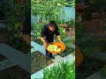 rendyLifestyleGrowthStar#FastGrowthPlan#FastGrowthPlan#TrendyLifestyleGrowthStar A small vegetable g