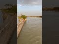 Sindh Dharti #nocanal #indusriver