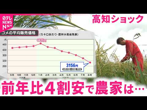 【コメ】作るほど赤字に… 仮払金４割安の"高知ショック" 農家から悲痛の声 NNNセレクション