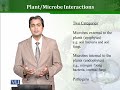 BT503 Environment Biotechnology Lecture No 185