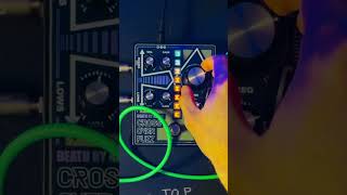 How to turn your Crossover Fuzz into a crazy feedback machine ⚡️