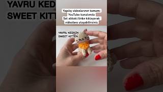 Tığ İşi Tatlı Kedi Yapılışı